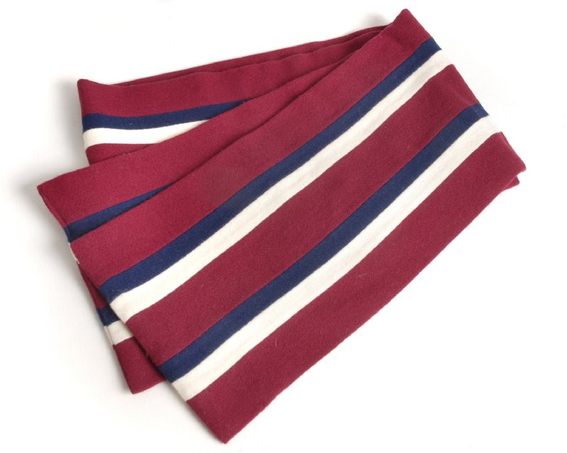Warwick School scarf